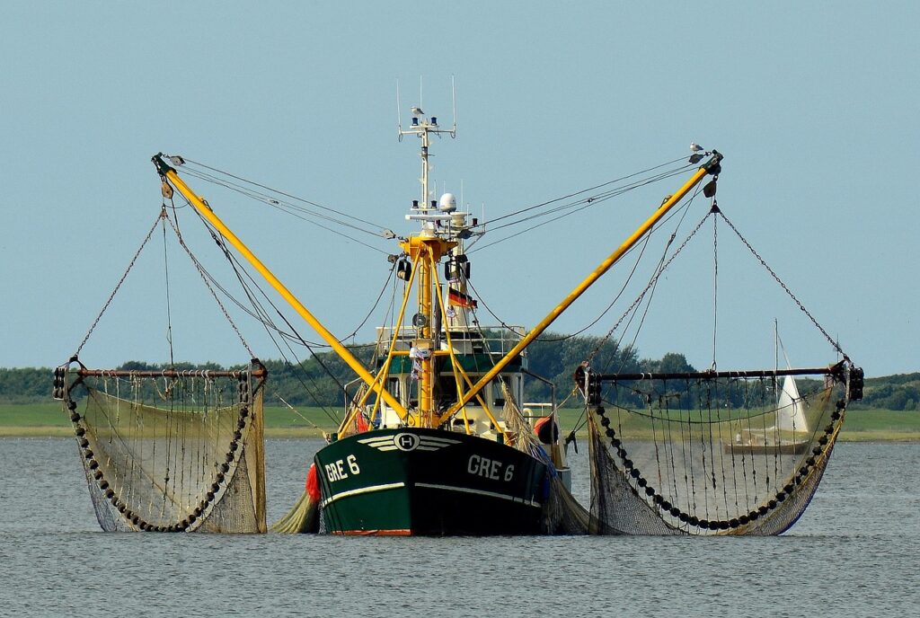 fishing boat, fishing, fishing cutter, fisherman, north sea, nature, cutter, networks, crab cutter, wooden boat, sea, water, borkum