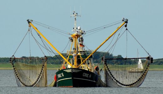 fishing boat, fishing, fishing cutter, fisherman, north sea, nature, cutter, networks, crab cutter, wooden boat, sea, water, borkum