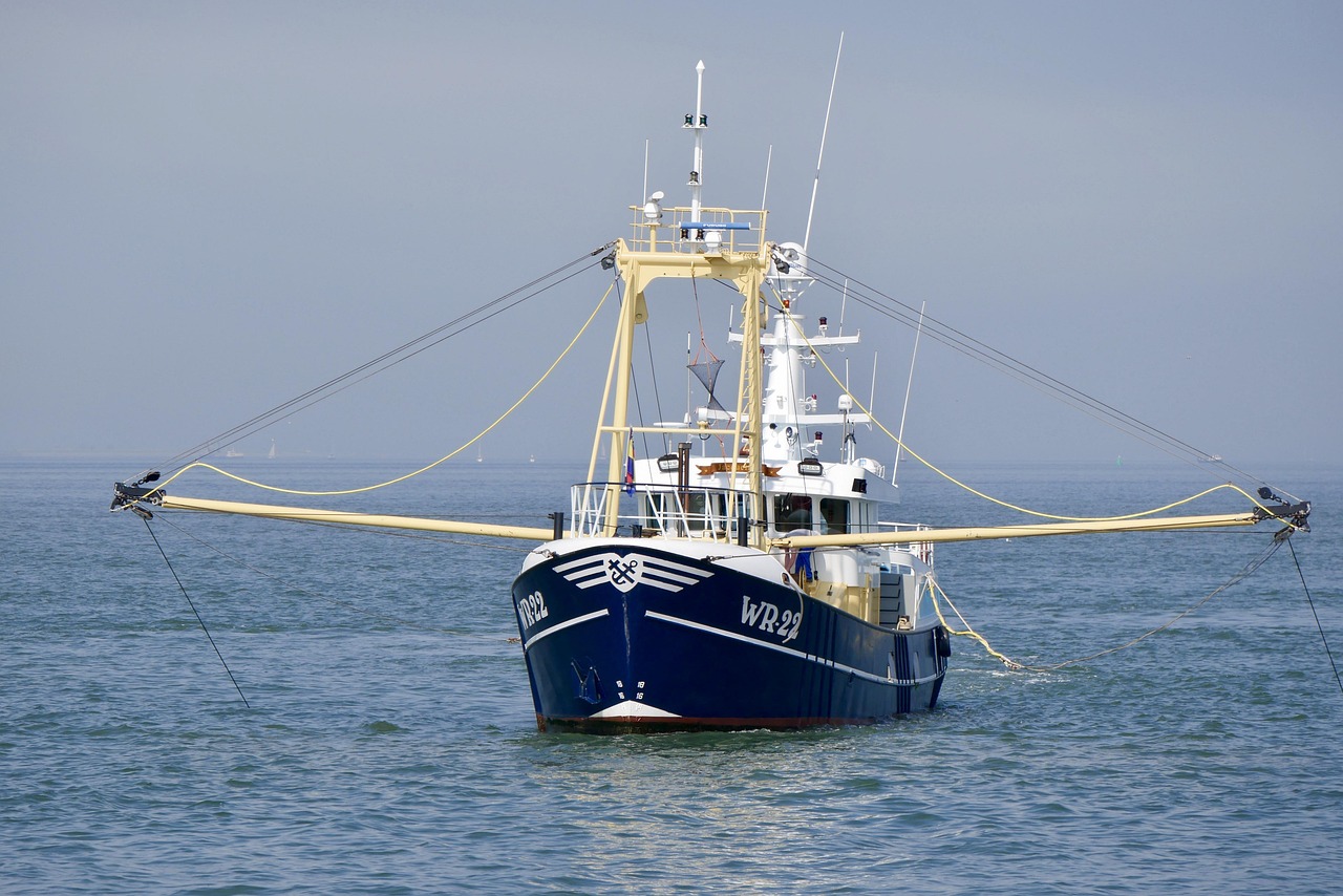 crab cutter, nature, sea, north sea, ship, fishing cutter