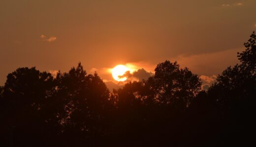 sunset, benson nc, nature, country, trees