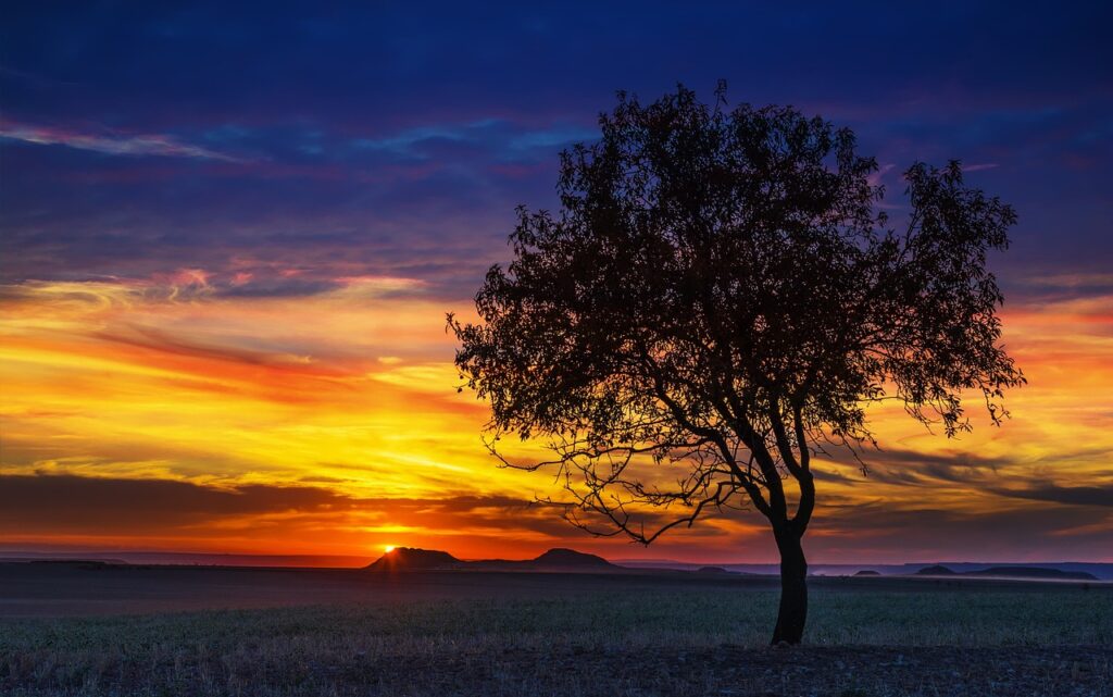 sunset, nature, the dawn family, the sun, landscape, tree, sky, no one, panoramic, the horizon, the stage, season, clouds, outside, the colors, trees, machining, graphics, edition