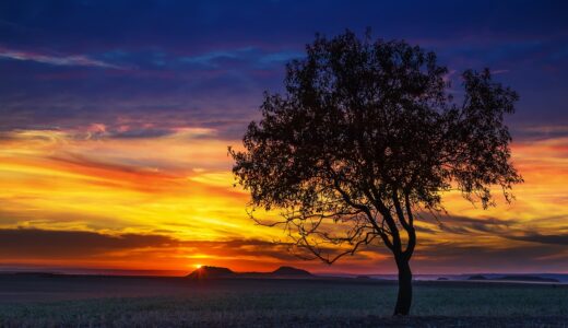 sunset, nature, the dawn family, the sun, landscape, tree, sky, no one, panoramic, the horizon, the stage, season, clouds, outside, the colors, trees, machining, graphics, edition