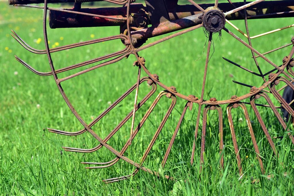 hay tedder, agriculture, nature, rural, machine, rust, wheel, harvester, historical, pasture, meadow, grass, green, turning machine, turning device, hay, metal, iron, old, work, working device