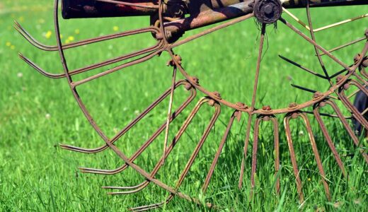 hay tedder, agriculture, nature, rural, machine, rust, wheel, harvester, historical, pasture, meadow, grass, green, turning machine, turning device, hay, metal, iron, old, work, working device