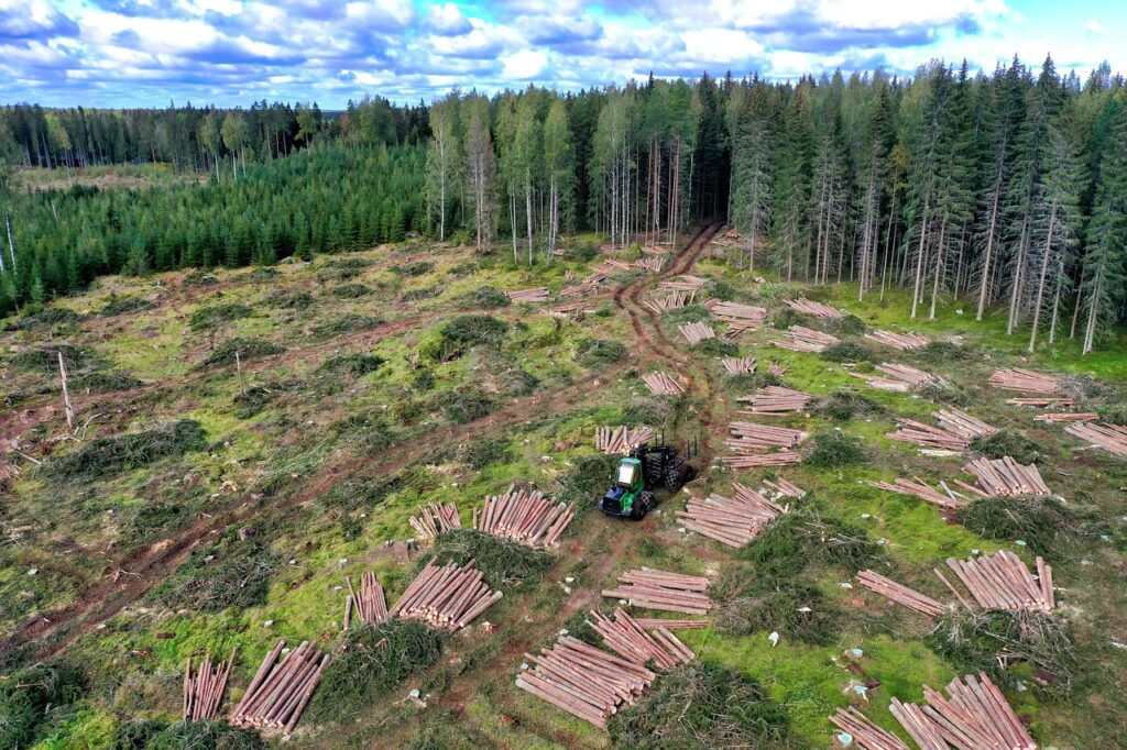 forestry, timber, logging, clear-cutting, forest machine, logs, forestry, forestry, forestry, forestry, forestry, logging, logging, logging, logging