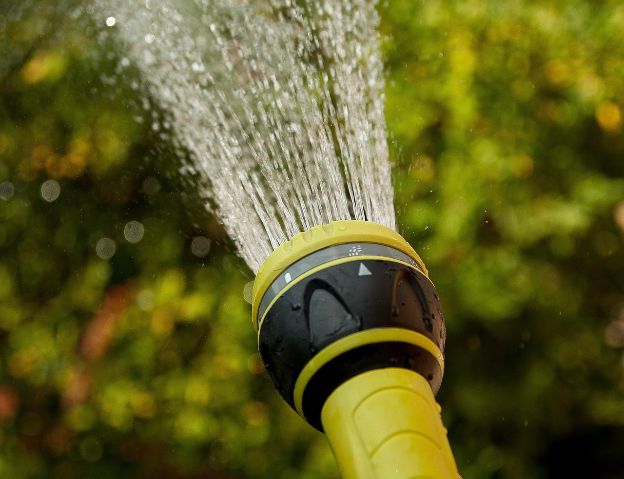 watering, water jet, gardener