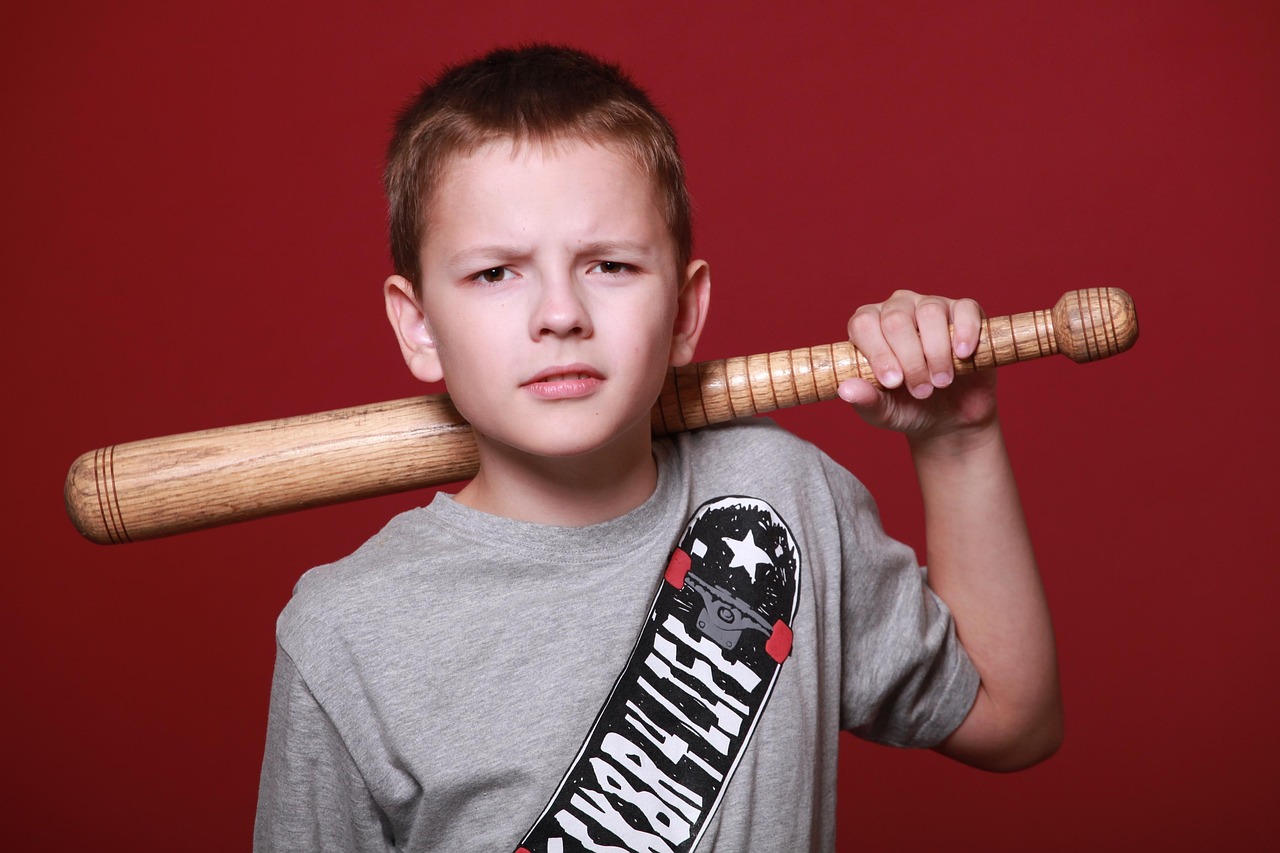 boy, teen, schoolboy, angry, bit, stick, angry, angry, angry, angry, angry
