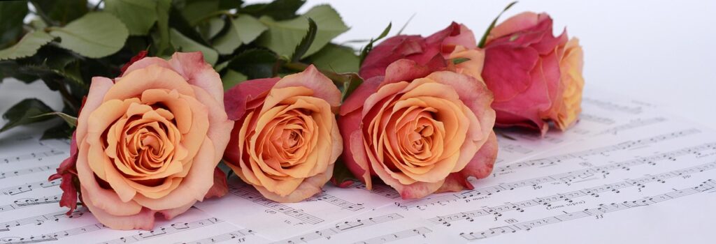 roses, flowers, sheet music, flower wallpaper, music, melody, petals, beautiful flowers, rose petals, nature, bunch of roses, bunch of flowers, bloom, flower background, blossom, rose bloom