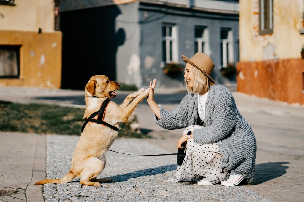 girl, dog, pet, friendship, companion, owner, caucasian, blonde, caucasian female, blonde female, canine, domestic dog, doggy, happy, animal, nature, love, woman, cute, puppy