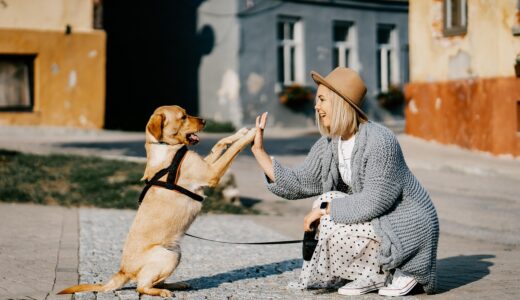 girl, dog, pet, friendship, companion, owner, caucasian, blonde, caucasian female, blonde female, canine, domestic dog, doggy, happy, animal, nature, love, woman, cute, puppy