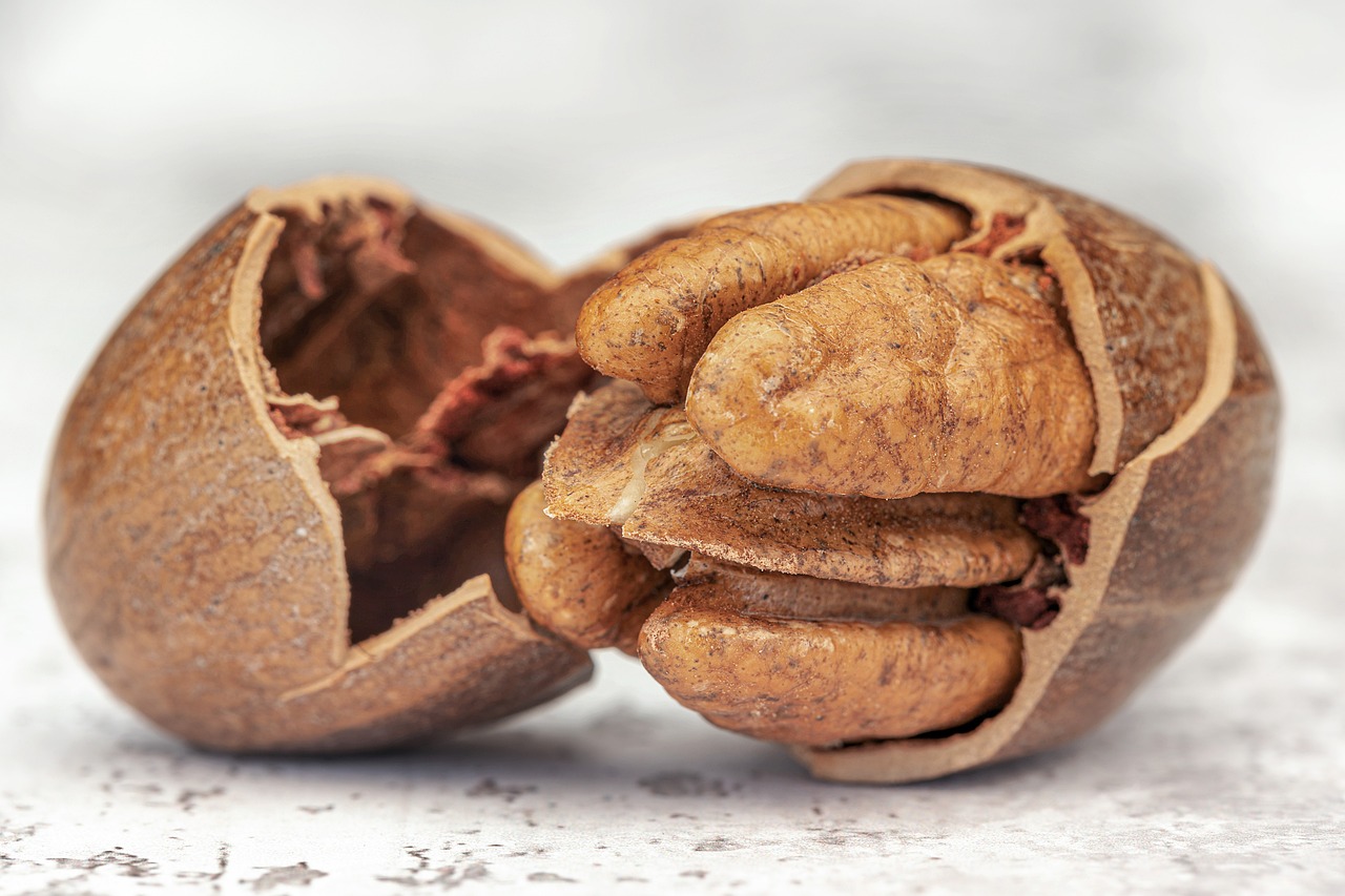 pecan, copyright, jackie matthews, pecan, pecan, pecan, pecan, pecan, copyright, copyright