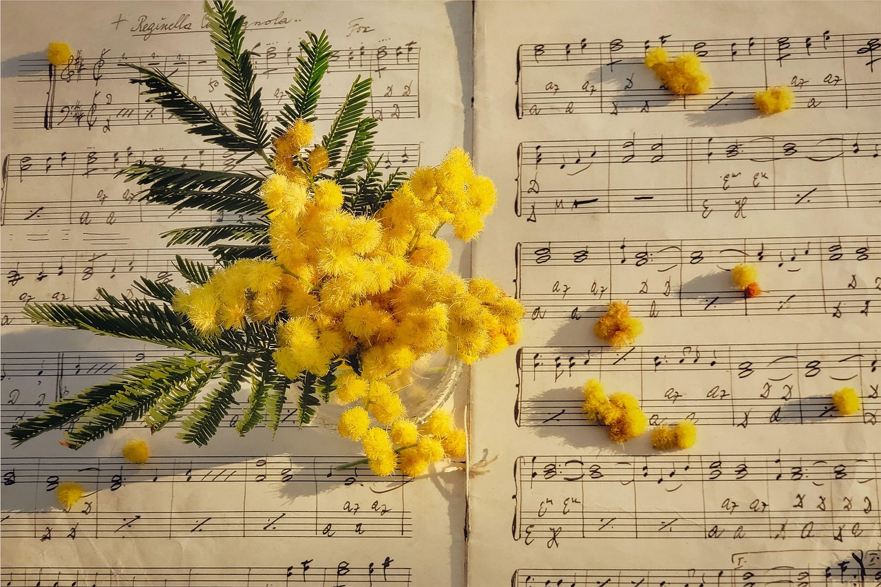 mimosa, yellow flowers, wallpaper 4k, sheet music, full hd wallpaper, music notes, spring, floral background, floral, romantic, hd wallpaper, nature, cool backgrounds, free background, mac wallpaper, vintage, artistic, composition, melody, flowers on paper, free wallpaper, delicate, soft light, 4k wallpaper, nature and music, desktop backgrounds, 4k wallpaper 1920x1080, blossom, music sheet, harmony, beautiful wallpaper, still life, seasonal, bouquet, wallpaper hd, inspiration, windows wallpaper, elegant, background, laptop wallpaper, gentle