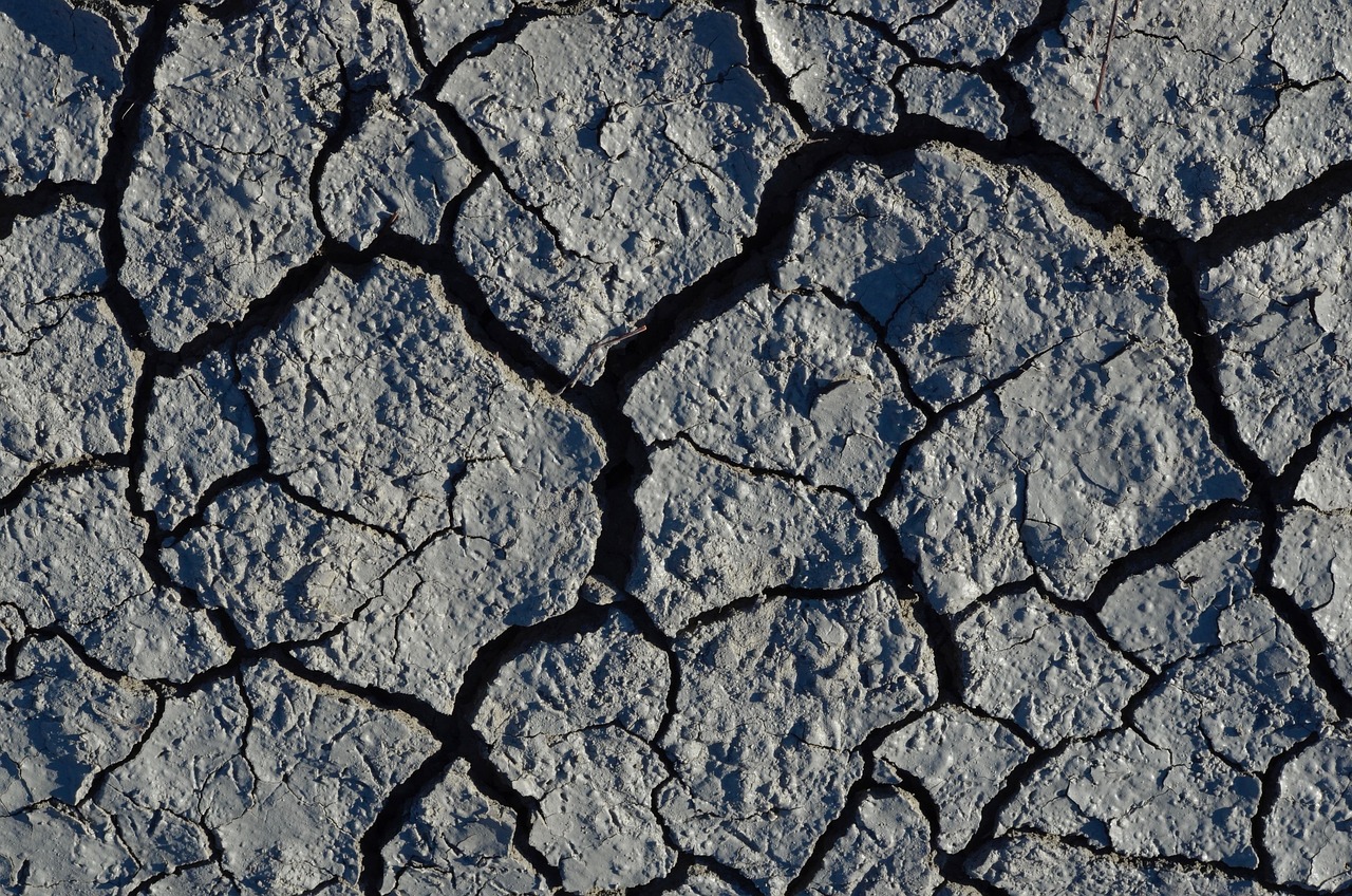 dryness, drought, withers, dry, earth, floor, dried out, cracks, cracked, surface